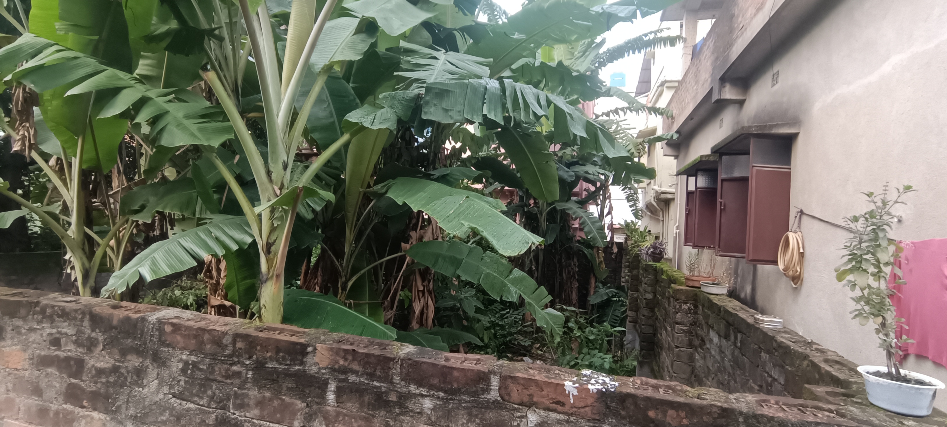 plot-sale-at-birati1754979712